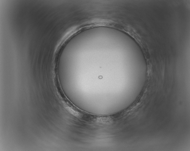 X0000060270101200511241505