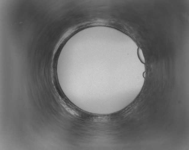 X0000060270102200511241505