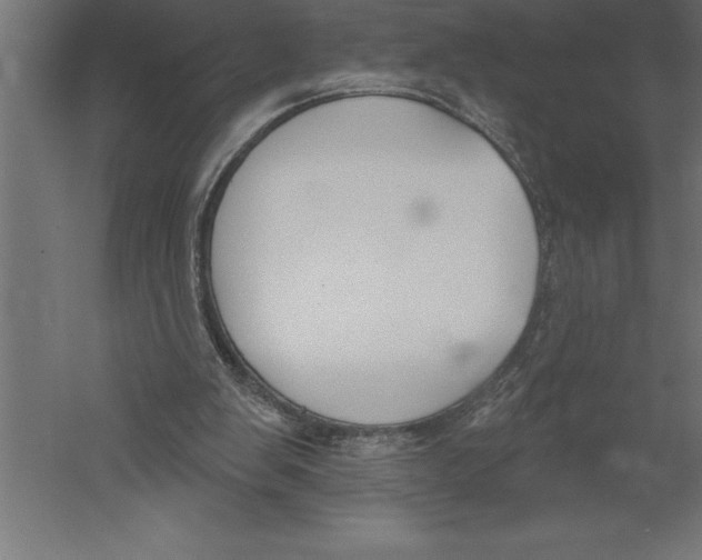 X0000060270103200511241505