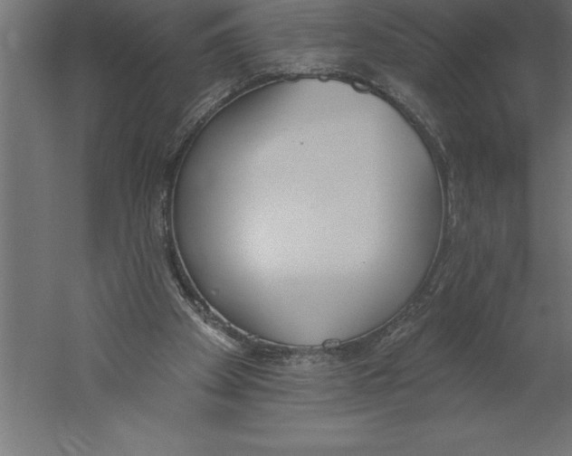 X0000060270105200511241505