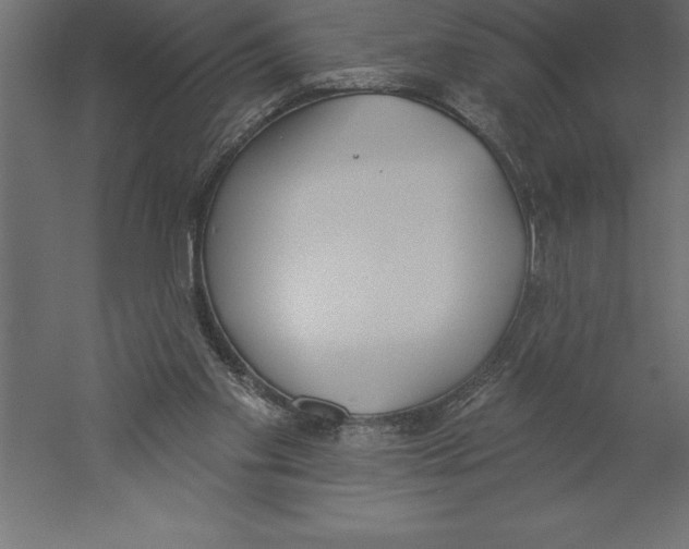 X0000060270109200511241505