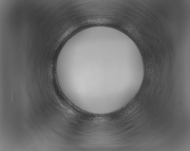 X0000060270111200511241505