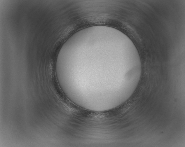 X0000060270113200511241505