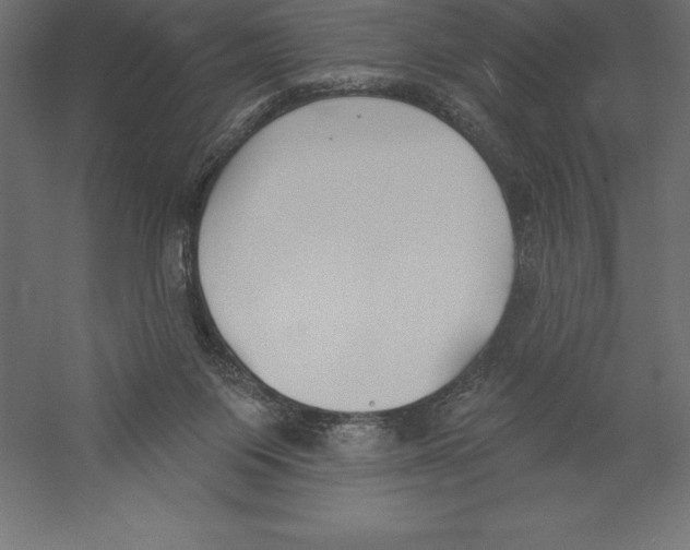 X0000060270119200511241505