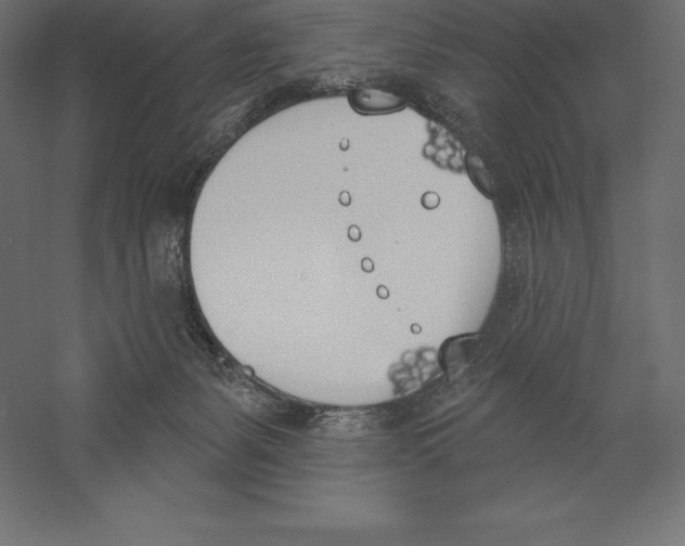 X0000060270127200511241505