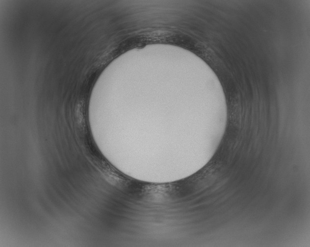 X0000060270131200511241504