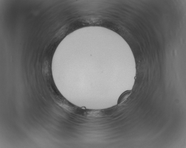 X0000060270132200511241504