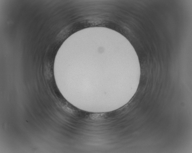 X0000060270136200511241504