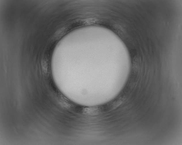 X0000060270139200511241504