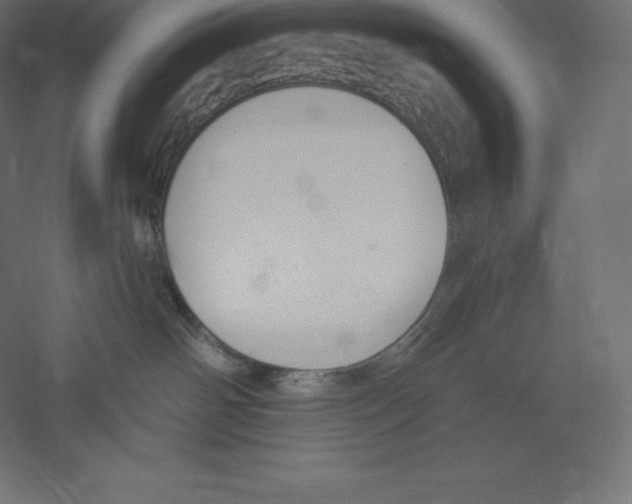 X0000060270142200511241504