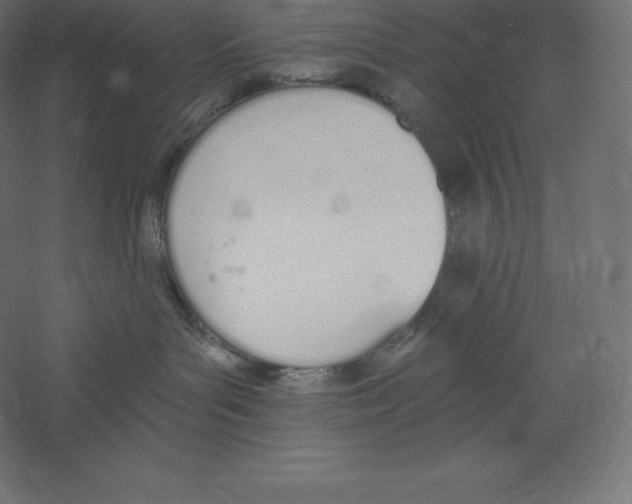 X0000060270143200511241504