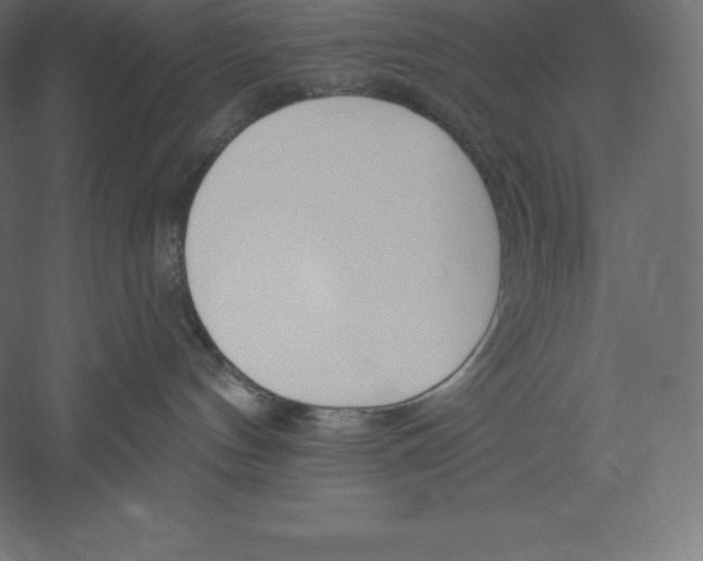 X0000060270144200511241504