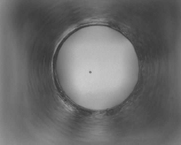 X0000060270148200511241503