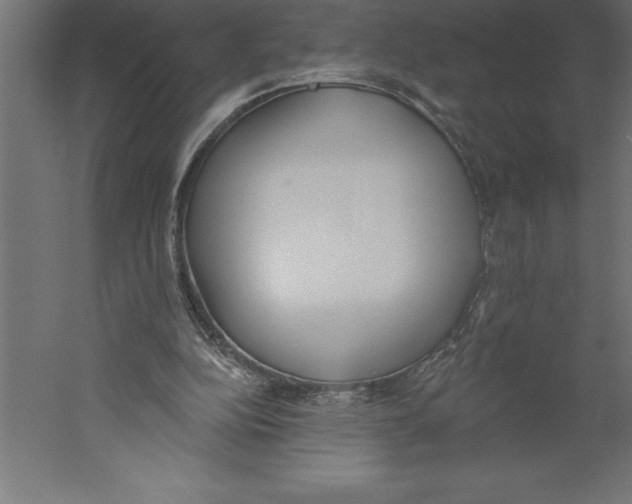 X0000060270152200511241504