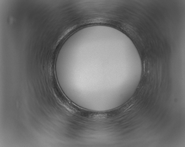 X0000060270156200511241504