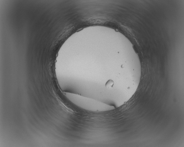 X0000060270162200511241504