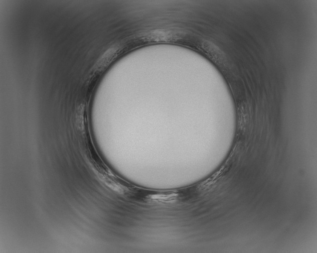 X0000060270167200511241504