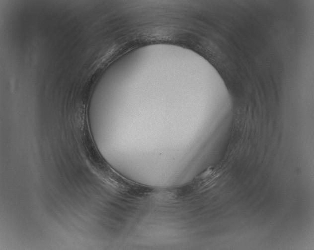 X0000060270168200511241504