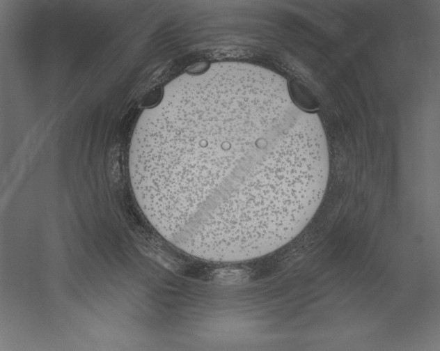 X0000060270169200511241504