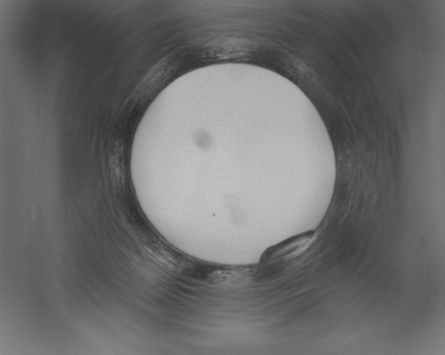 X0000060270170200511241504