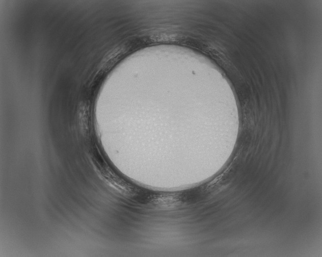 X0000060270171200511241504