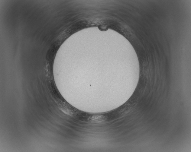 X0000060270173200511241504