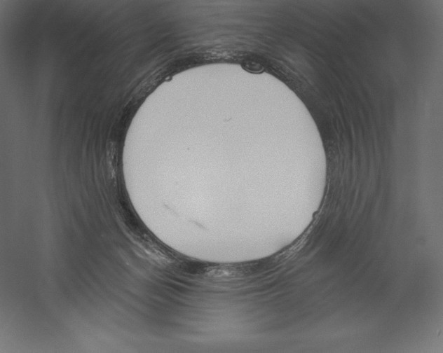 X0000060270174200511241504