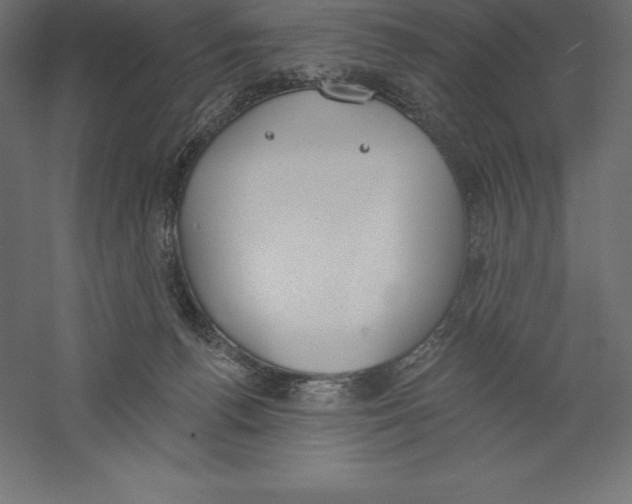 X0000060270176200511241504