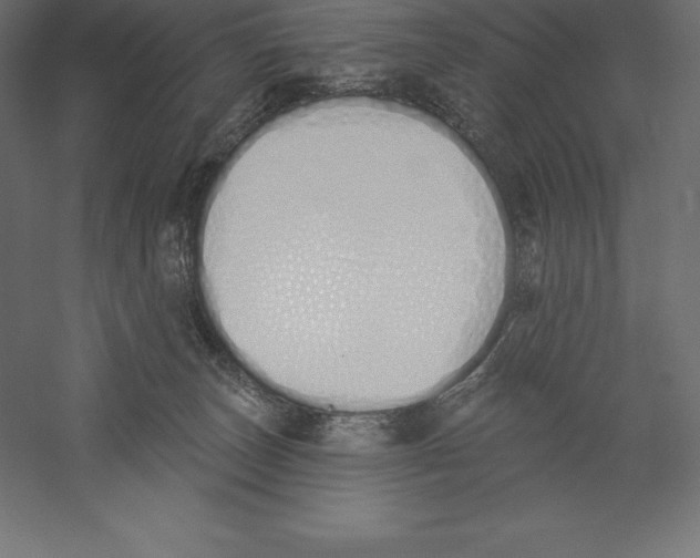 X0000060270179200511241504