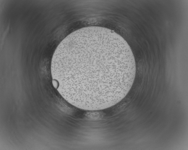 X0000060270181200511241504