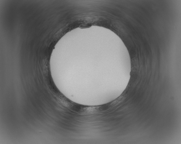 X0000060270184200511241504