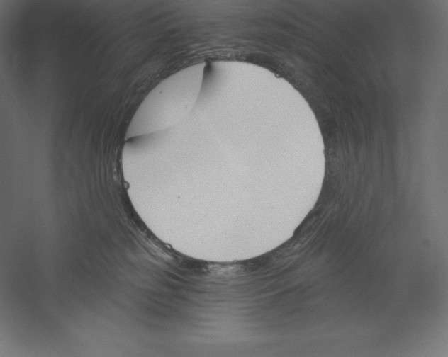 X0000060270185200511241504