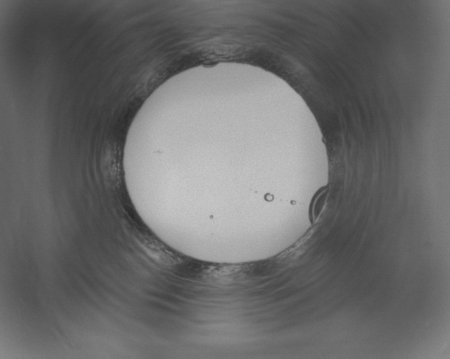 X0000060270186200511241504