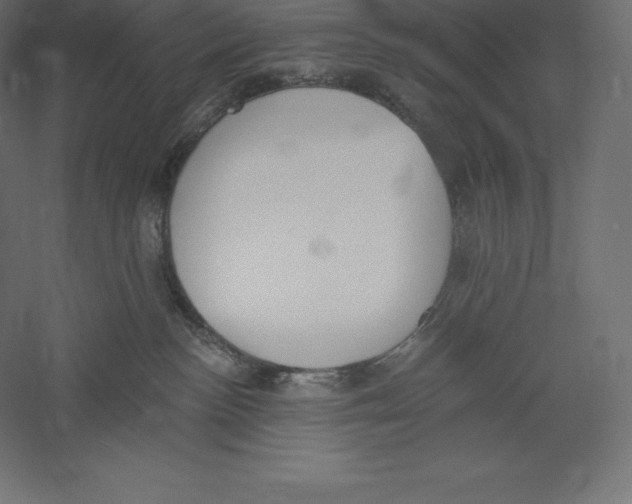 X0000060270188200511241504