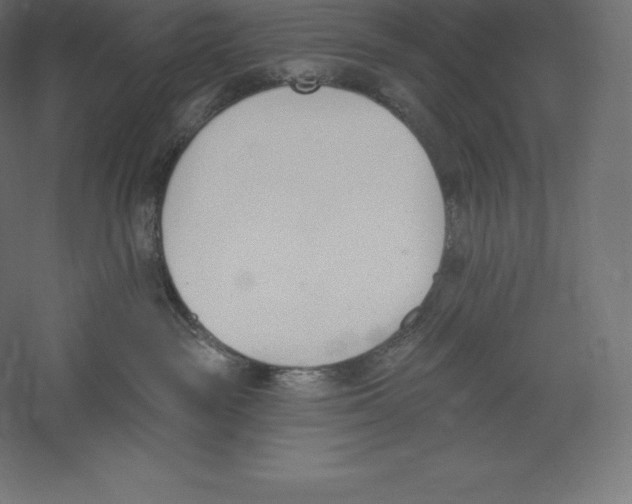 X0000060270189200511241504