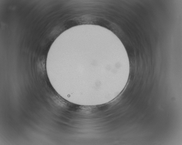 X0000060270190200511241504