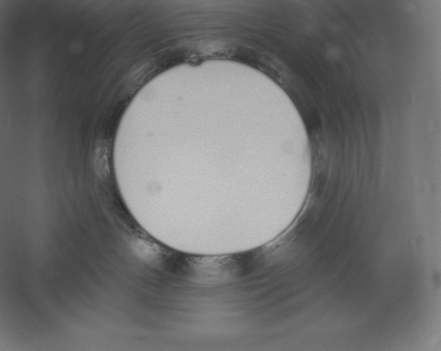 X0000060270191200511241504