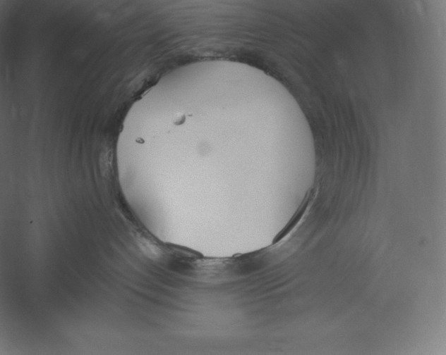 X0000060270192200511241504