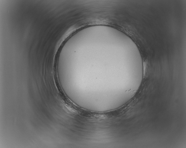 X0000060270195200511241503