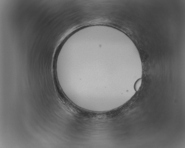 X0000060270196200511241503