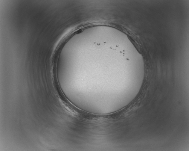 X0000060270197200511241503