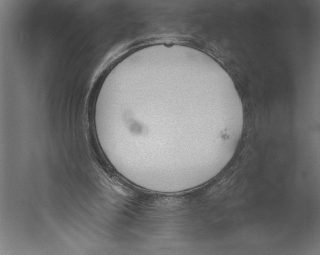 X0000060270198200511241503