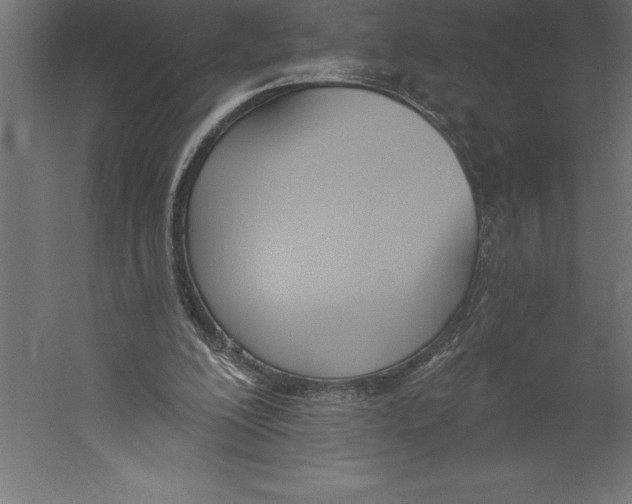 X0000060270200200511241503