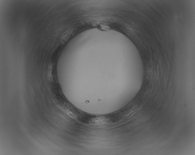 X0000060270219200511241503