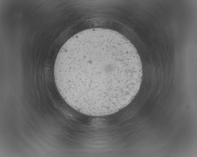 X0000060270222200511241503