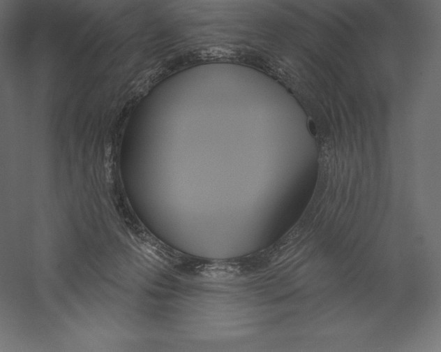 X0000060270223200511241503