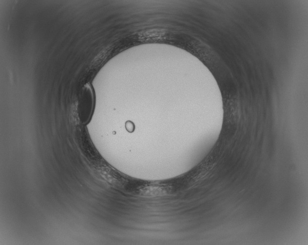 X0000060270224200511241503