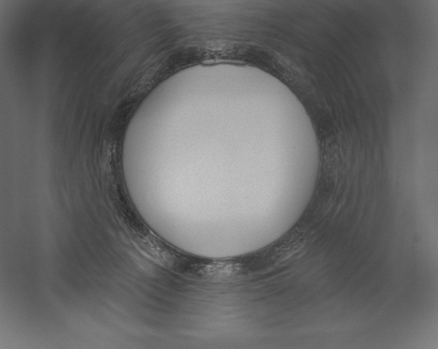 X0000060270225200511241503