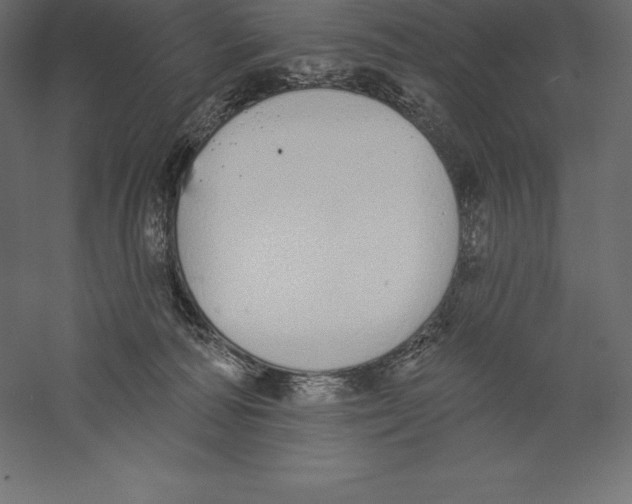 X0000060270226200511241503