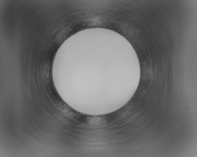 X0000060270230200511241503